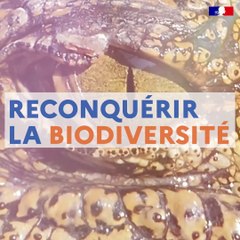 9 jours pour reconquérir la biodiversité