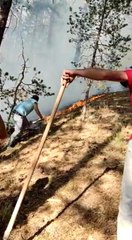 Son dakika haberi | Sarıkamış ormanlarında çıkan örtü yangını söndürüldü