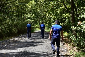 Tuzla'da ormanlar 7/24 denetleniyor