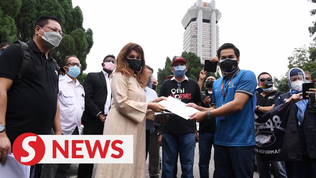 Peka urges Selangor govt to revoke plans to degazette Kuala Langat North Forest Reserve