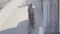 Bisikletle takip ettiği kadının kolyesini kapıp kaçtı