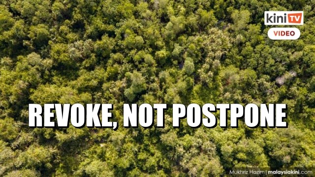 Revoke forest reserve de-gazettement, not postpone, Selangor govt told