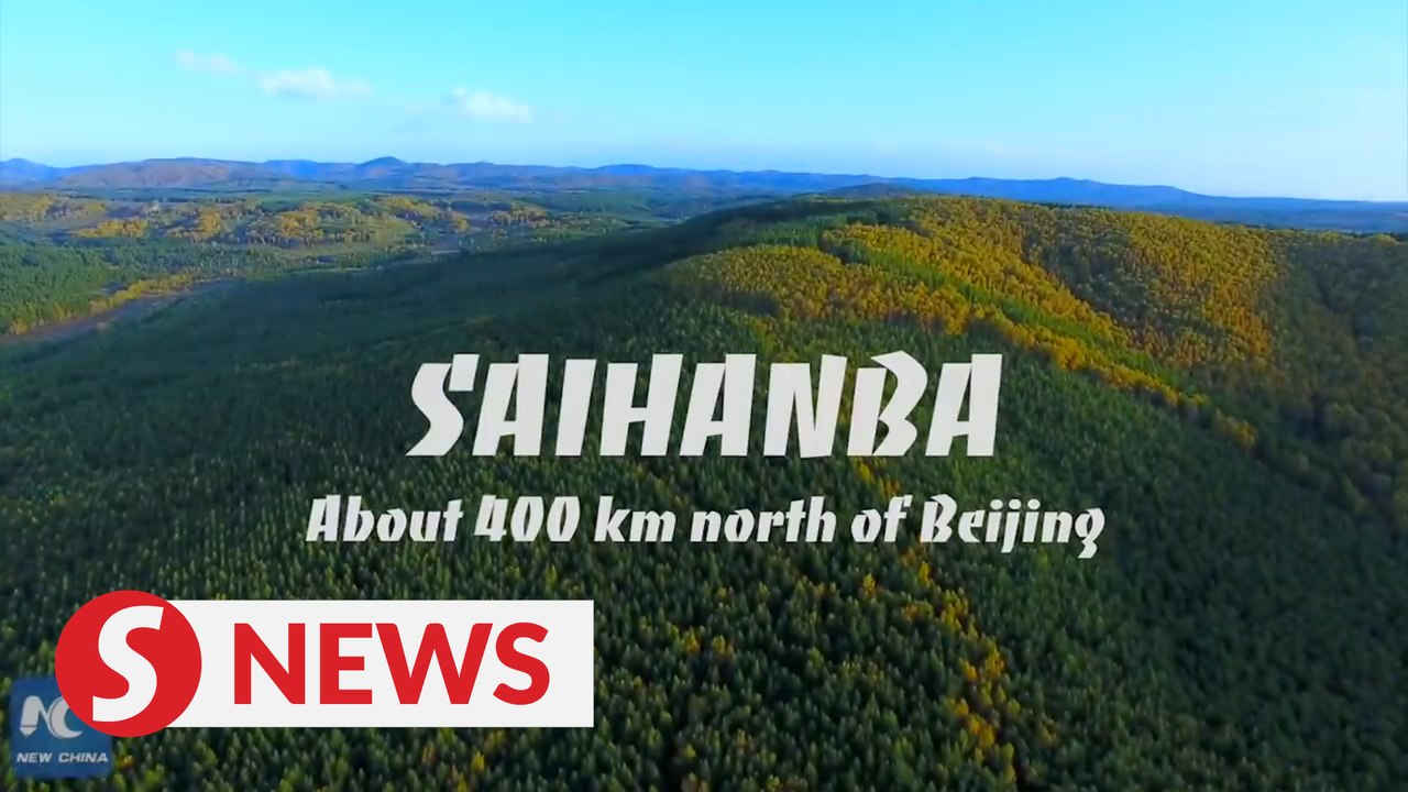 Xinhua Special: The difference a single tree can make