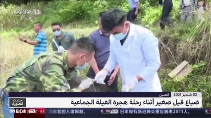 حديث الصورة - 03/09/2021