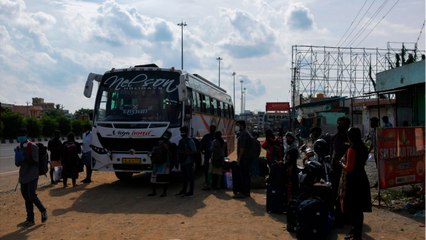 This man has never cut his hair in his life! (VIDEO)