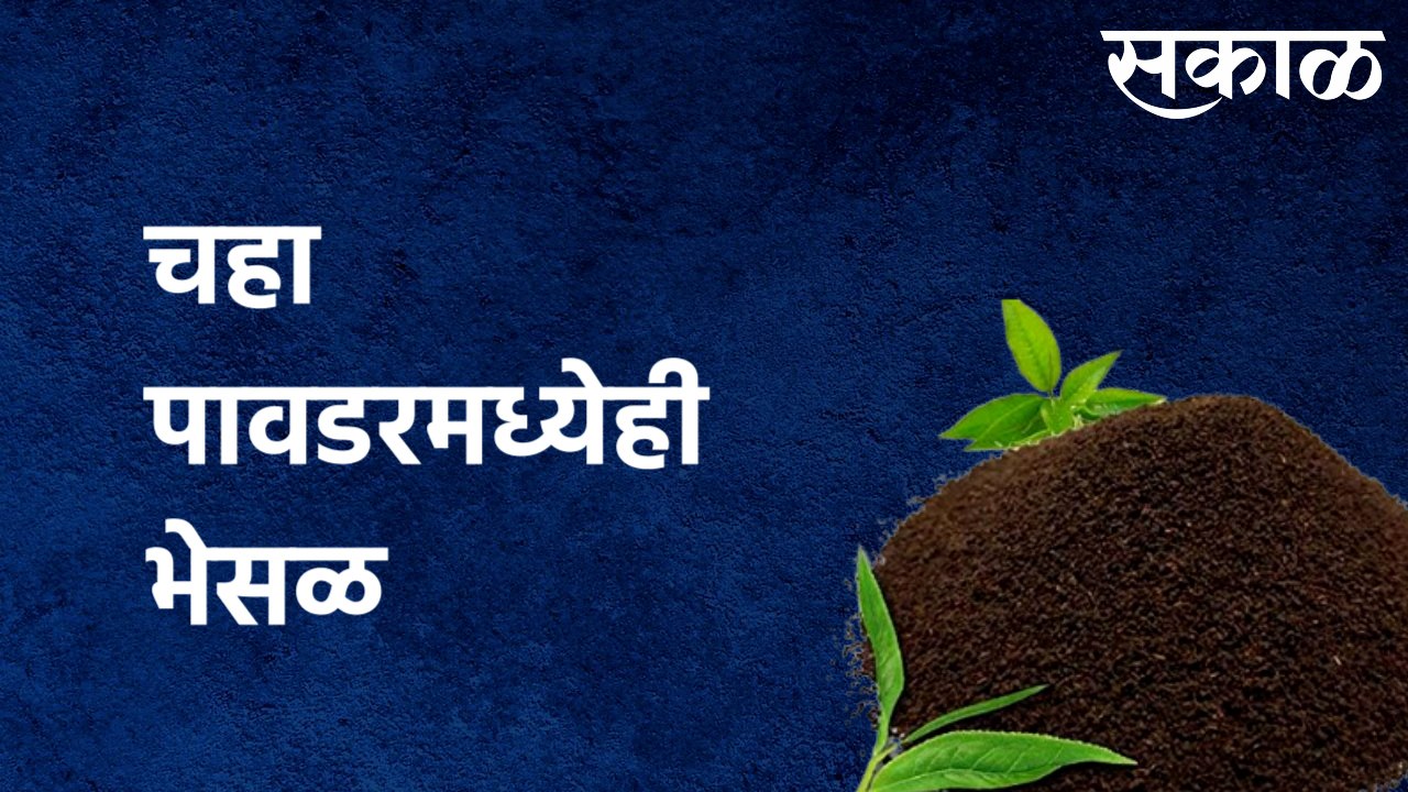 Adulteration in Tea Solpur :  तुमच्या चहा पावडरमध्येही भेसळ तर नाही ना? पाहा सोलापुरातला हा प्रकार