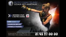 Présentation Sceaux Arts Martiaux