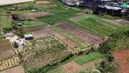 [#Reportage] Gabon: l’UOB, de temple du savoir à champ agricole