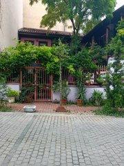 KAKTÜS HIRSIZLIĞI KAMERADA