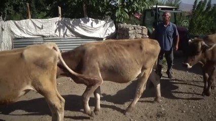 Devlet desteğiyle besicilik yapan eski hükümlü geleceğe umutla bakıyor