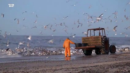 TV-SPOT | Gutterne på kutterne | 11. September på TV2 & TV2 Play | 2018 | Kort Version | TV2 Danmark