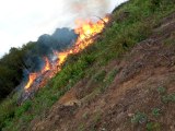 Sinop'ta çalılık alanda çıkan yangın ormanlık alana sıçramadan söndürüldü