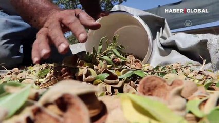 Tıp fakültesini bıraktı, bu işe girdi... Geliri 4 kat arttı!