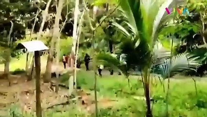 Massa Beringas! Rusak dan Bakar Masjid Ahmadiyah