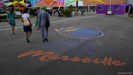 Le congrès de l’Union internationale pour la conservation de la nature ouvre ses portes