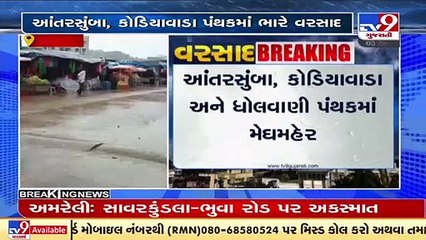 Rainfall returns after a long dry spell in Vijaynagar, Sabarkantha _ TV9News