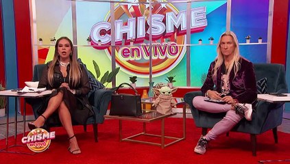 Lic. Pablo Campuzano Revela Las Consecuencias Legales Para Ninel Conde