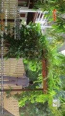 Tôi Là Busaba Tập 26 - VTC7 lồng tiếng - Phim Thái Lan xem phim toi la busaba tap 27