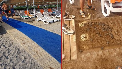 Antalya'daki caretta caretta ölümleri için iki otele 482 bin TL ceza kesildi