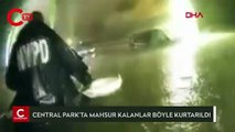 Central Park’ta polis, selde mahsur kalanları böyle kurtardı