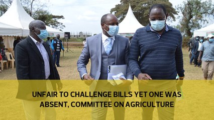 Unfair to challenge bills and yet one was absent, Committee on Agriculture
