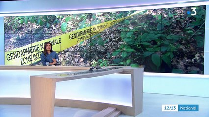 Affaire Estelle Mouzin : malgré de nouvelles recherches, le corps reste introuvable