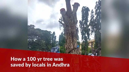 This Andhra town came together to save a hundred-year-old tree after it fell