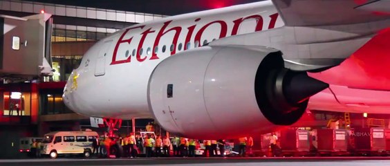05.Airbus A350-900 Xwbs Operating At Mumbai Airport   Mega Compilation Trim-1