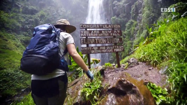 세계테마기행 - 육해공 대자연 트레킹- 자연이 그리울 때, 탄자니아_#001