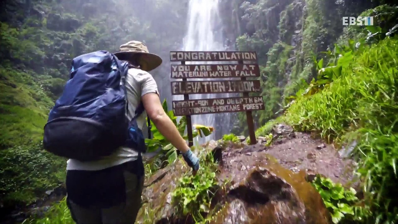 세계테마기행 - 육해공 대자연 트레킹- 자연이 그리울 때, 탄자니아_#001