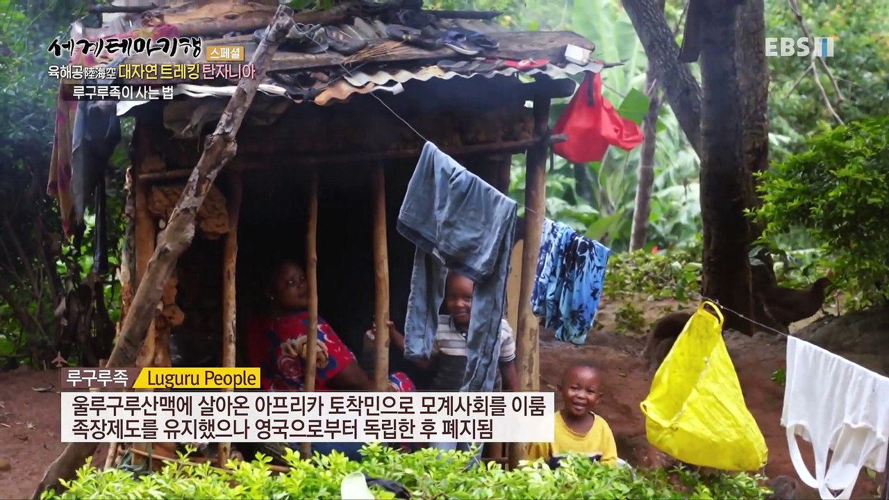 세계테마기행 - 육해공 대자연 트레킹- 자연이 그리울 때, 탄자니아_#002