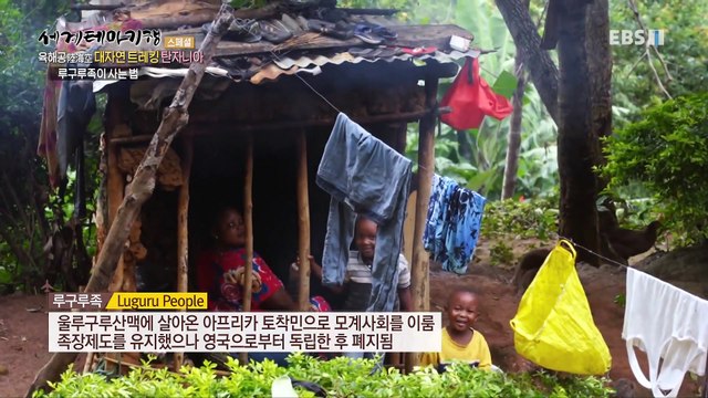 세계테마기행 - 육해공 대자연 트레킹- 자연이 그리울 때, 탄자니아_#002