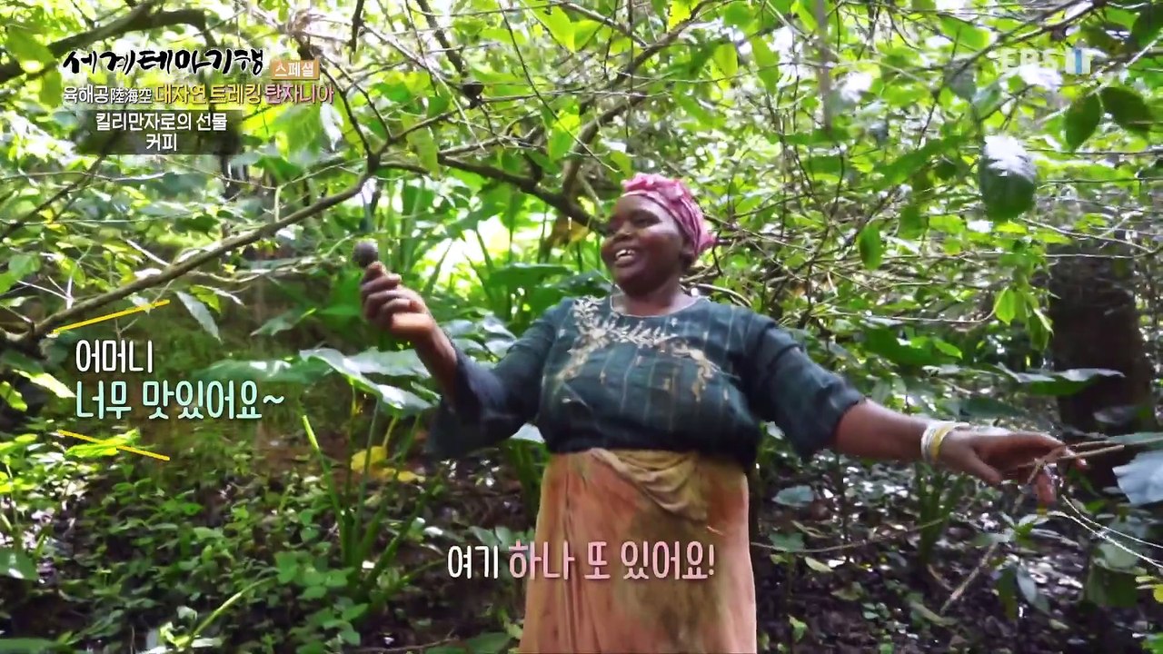 세계테마기행 - 육해공 대자연 트레킹- 자연이 그리울 때, 탄자니아_#003