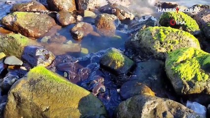 Hatay'da sahile vuran petrol atıklarına rağmen denizde yüzdüler