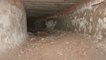 Watch: Secret British-era tunnel that connects Delhi Assembly to Red Fort