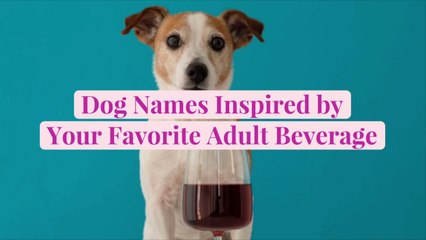 30 Dog Names Inspired by Your Favorite Adult Beverage