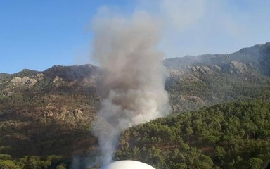 Son dakika... MİLAS'TA ORMANDA ÇIKAN YANGIN, TARIM ARAZİLERİNE SIÇRADI