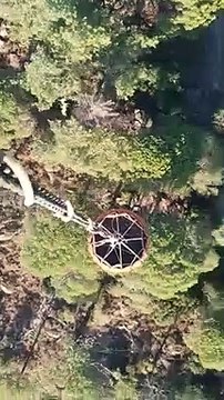 Milas'ta başlayan orman yangını hızla büyüdü