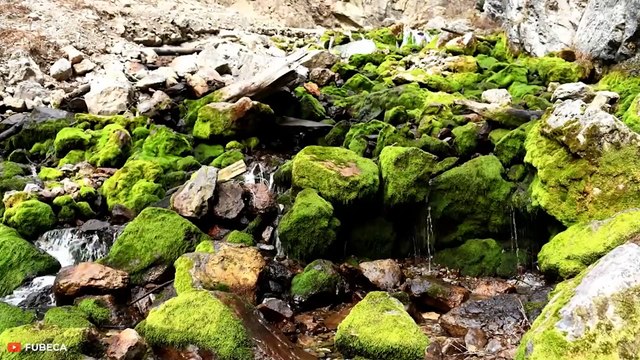 27 Cosas Espeluznantes Que Verás por Primera Vez en Tu Vida