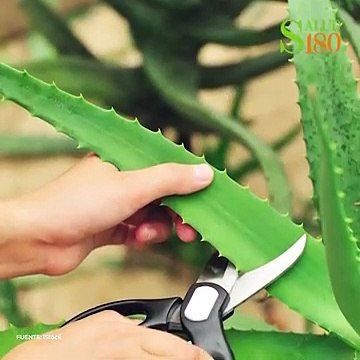 Mascarillas para atenuar las manchas del sol.| Salud180