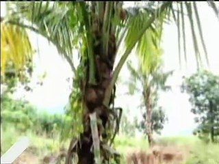 Punto de encuentro | Segunda etapa del Diálogo Político venezolano comienza en México