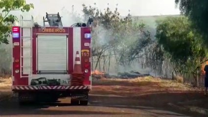 Incêndio no Cemitério: Corpo de Bombeiros é mobilizado para combater chamas