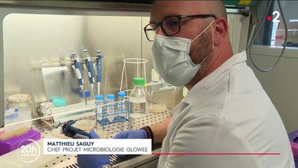 Bioluminescence : les animaux et la nature nous éclairent