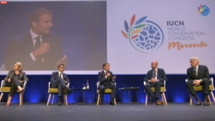 Líderes apuestan por retomar la unidad para proteger la biodiversidad