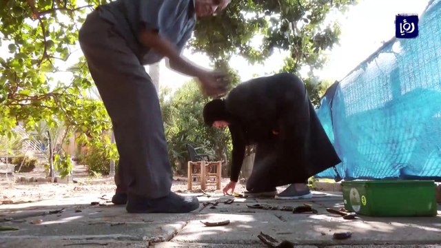 رب الخروب صناعة موسمية فلسطينية لا تزال حاضرة