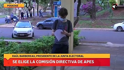Se elige la comisión directiva de apes