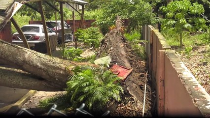 Gusty Winds Impact Central Trinidad