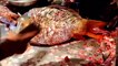 Giant Karfu Fish Cutting Live In Fish Market | Carfu Fish Cutting Skills. Live In Fish Market 2021.