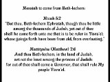 The Jewish Mashiach of the TeNaCh.