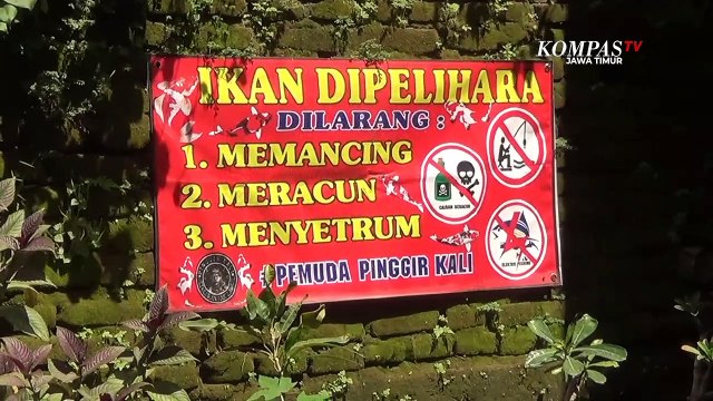 Warga Blitar Sulap Selokan Jadi Kolam Ikan